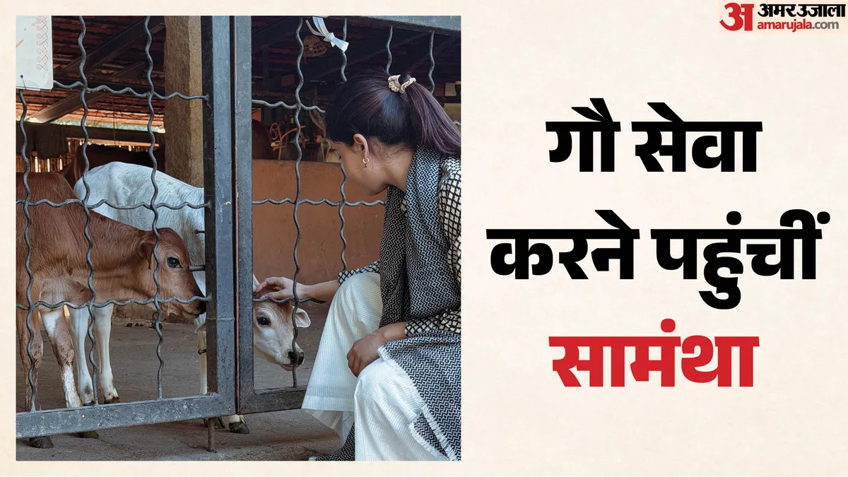 ईशा फाउंडेशन में गौ सेवा करती नजर आईं अभिनेत्री सामंथा रुथ प्रभु, सोशल मीडिया पर साझा किया आध्यात्मिक अनुभव; जानें पूरी सच्चाई