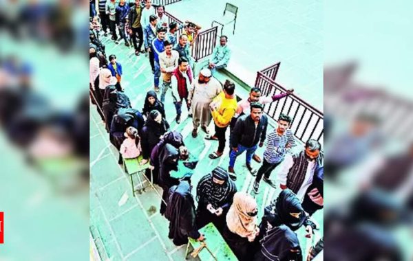 जयपुर में सरपंच चुनाव के बीच चले लाठी-डंडे: व्हीलचेयर पर वोट देने पहुंचे बुजुर्ग; 11 उम्मीदवारों के नामांकन और बवाल की पूरी कहानी